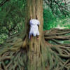 claustrophoria
